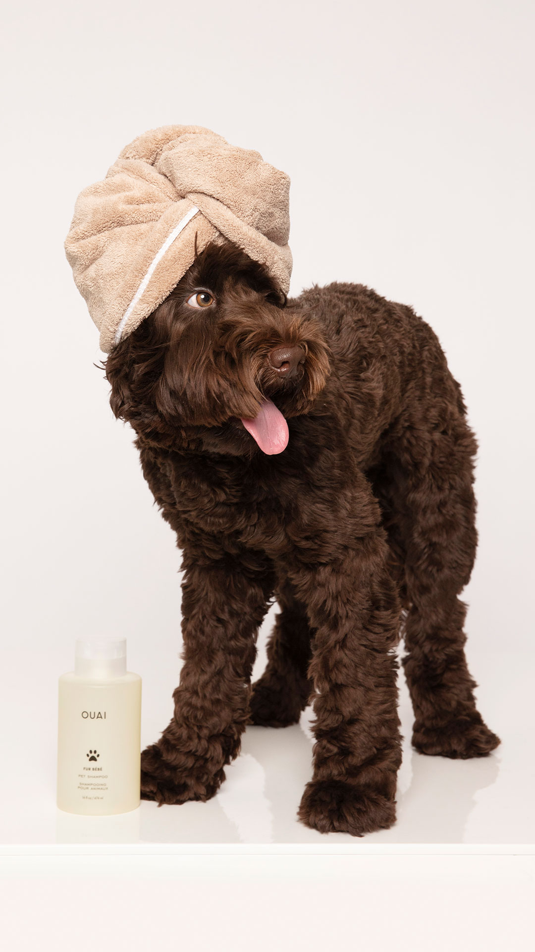 Fur Bébé